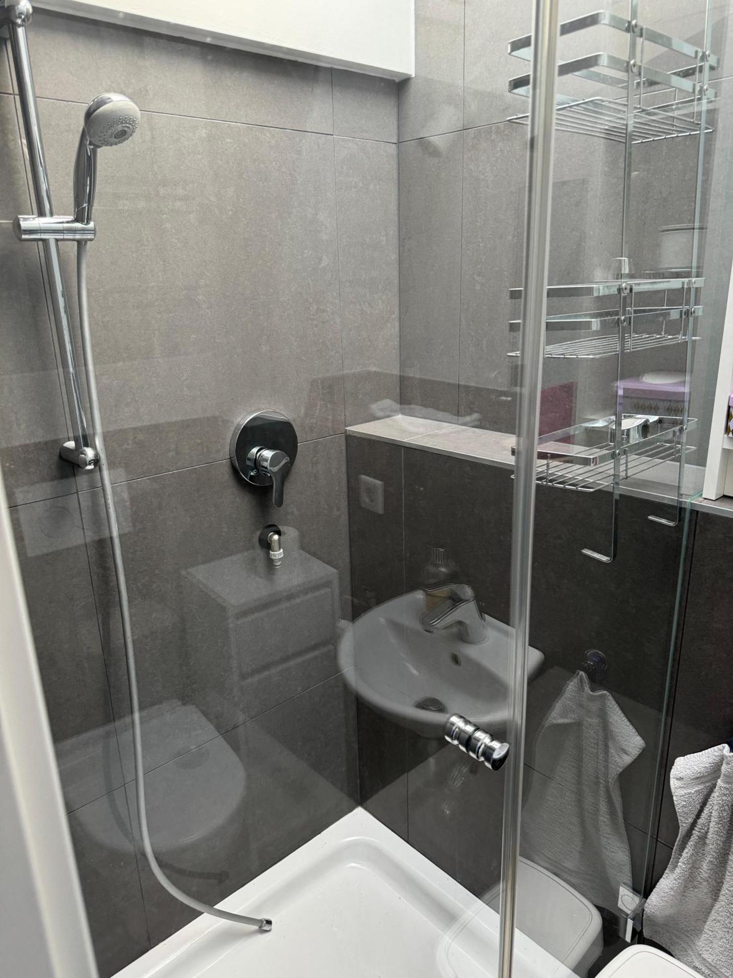 6 Zimmer Maisonette-Penthouse Pool Dachterrasse Luxus München Eksteriør bilde